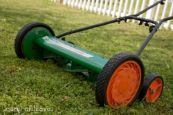 Ditch the Lawnmower. Get a Reel One.